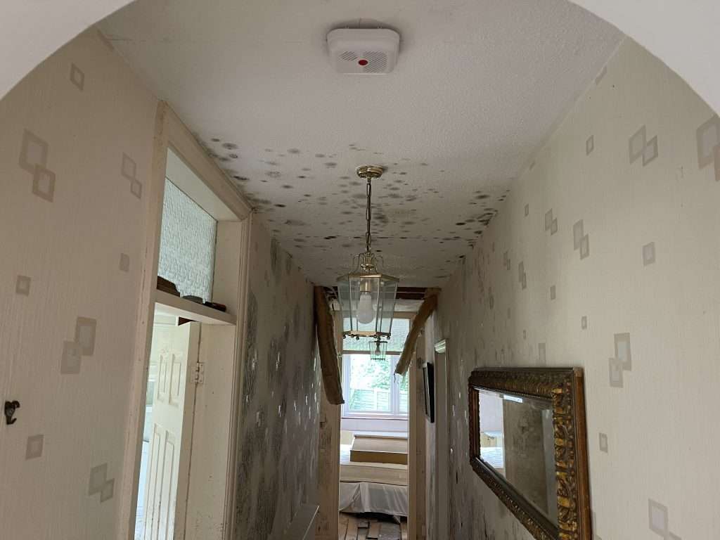 Flood Damage Experts